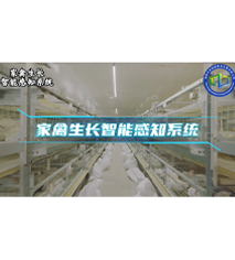 �������L���ܸ�֪ϵ�y